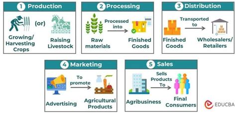 ag.7wicket|Agribusiness How It Works .